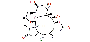 Briaexcavatolide J